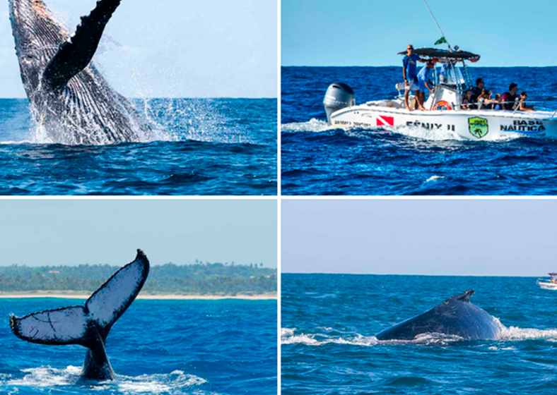 Turismo responsável: Utilize operadores e mestres de embarcação credenciados no Cadastur para garantir uma experiência segura e responsável.