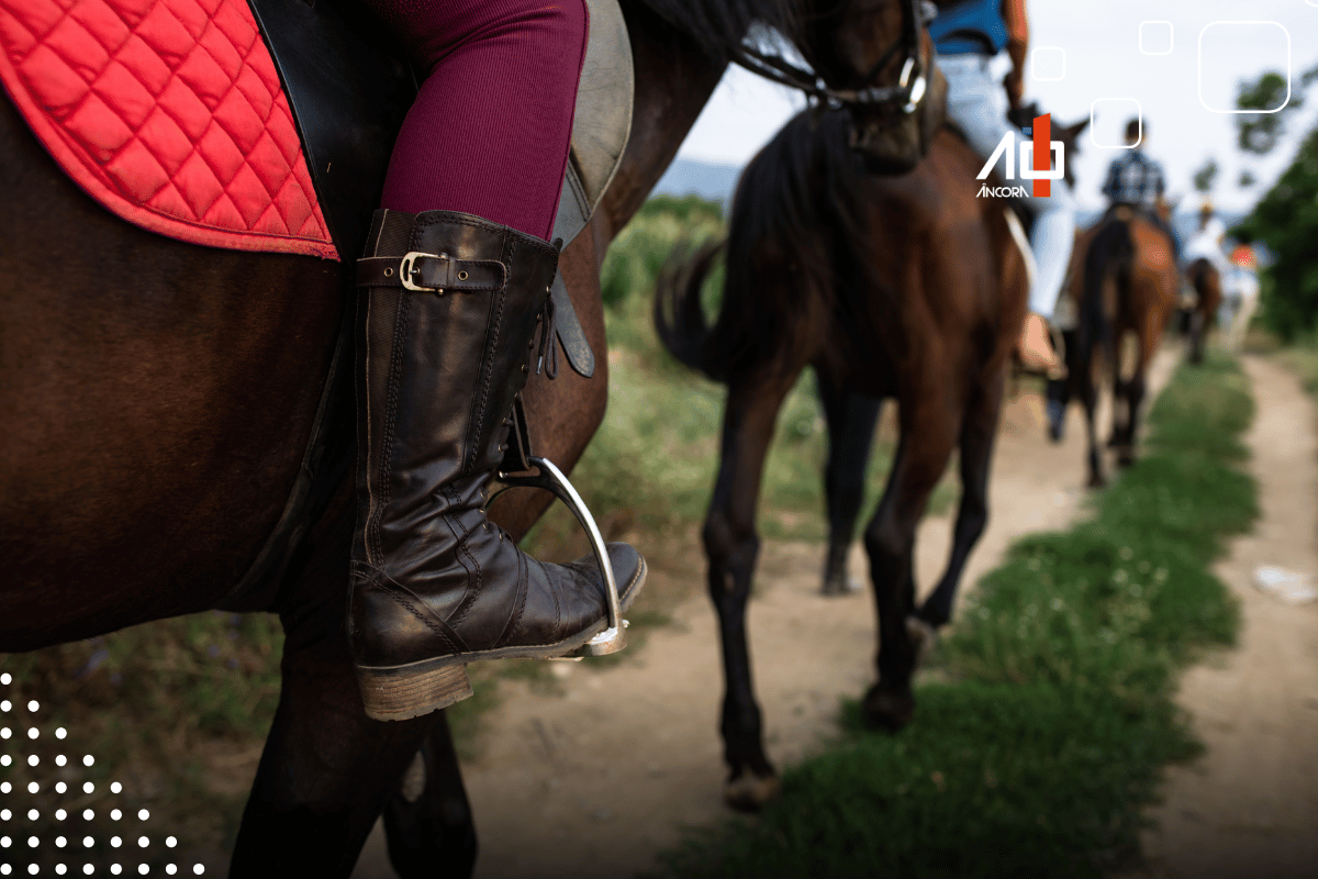 Descrição da imagem