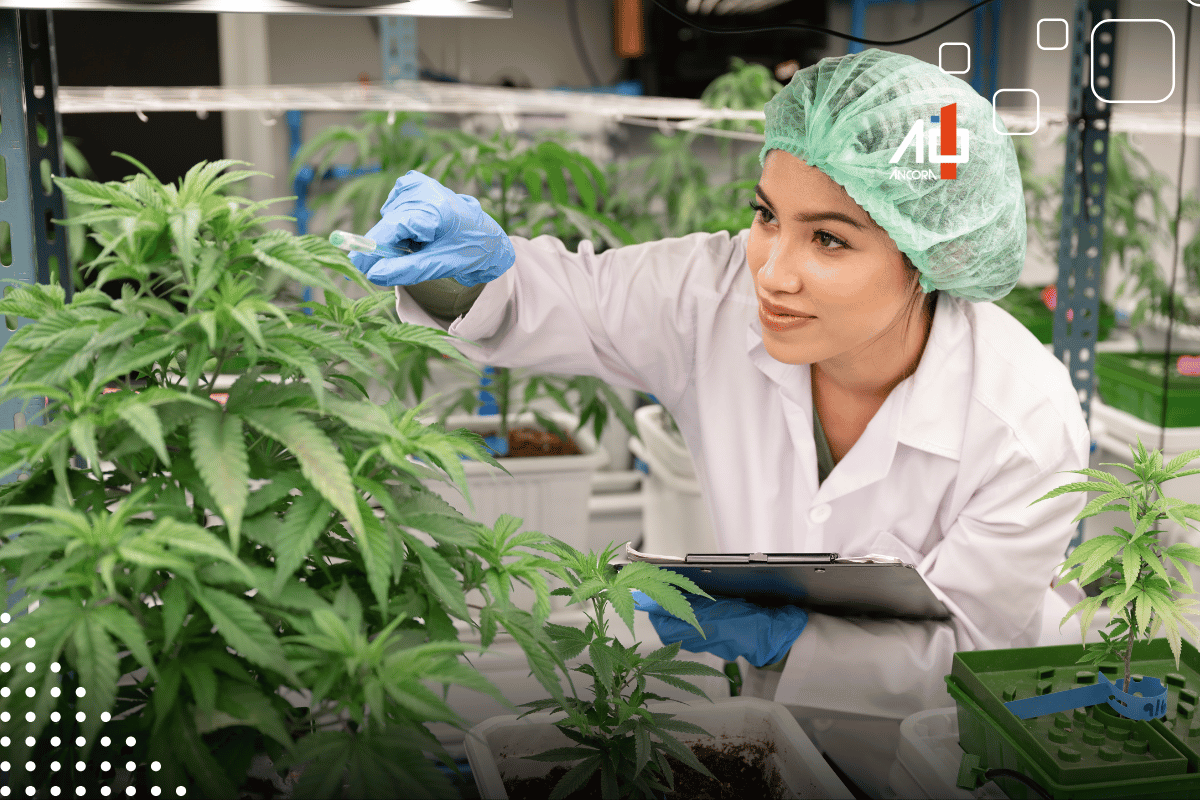 Descrição da imagem