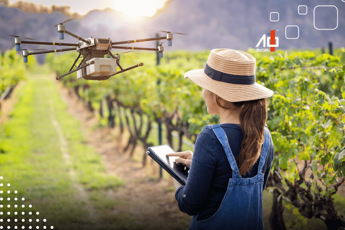 Descrição da imagem