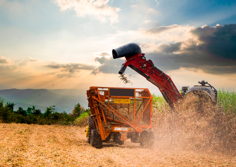 Exportações do agronegócio brasileiro atingem US$ 15,20 bi em junho e US$ 82,39 bi no semestre 