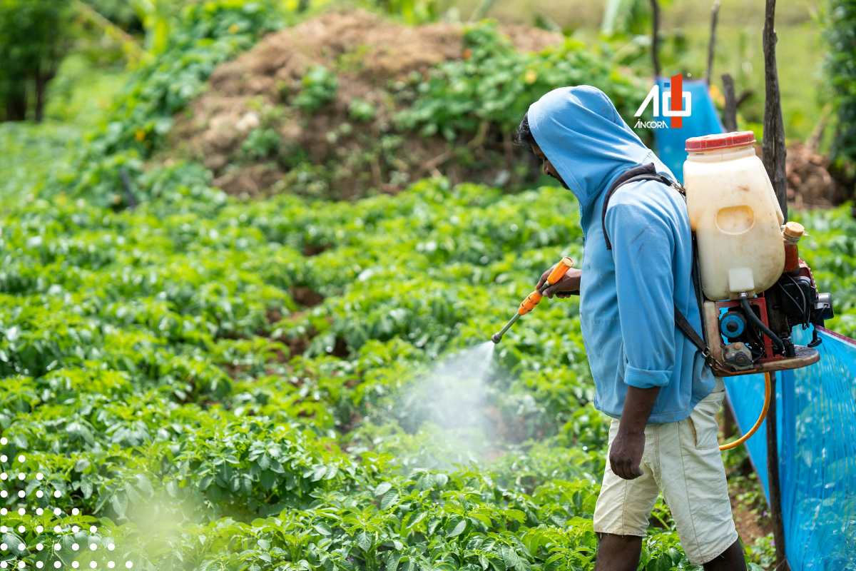 Descrição da imagem