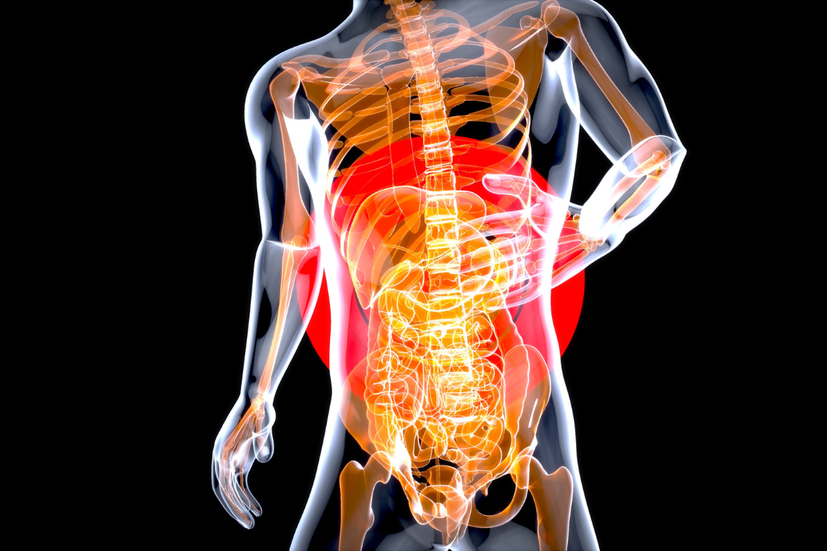 Descrição da imagem