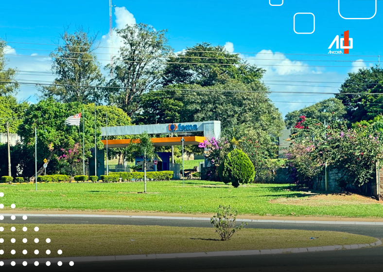 Descrição da imagem