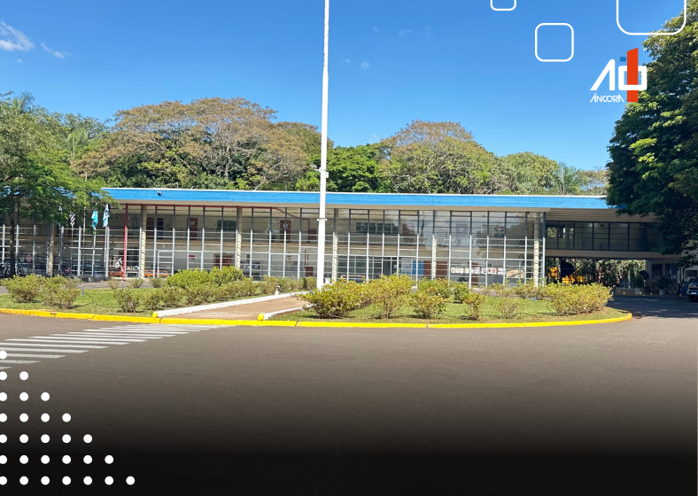 Descrição da imagem