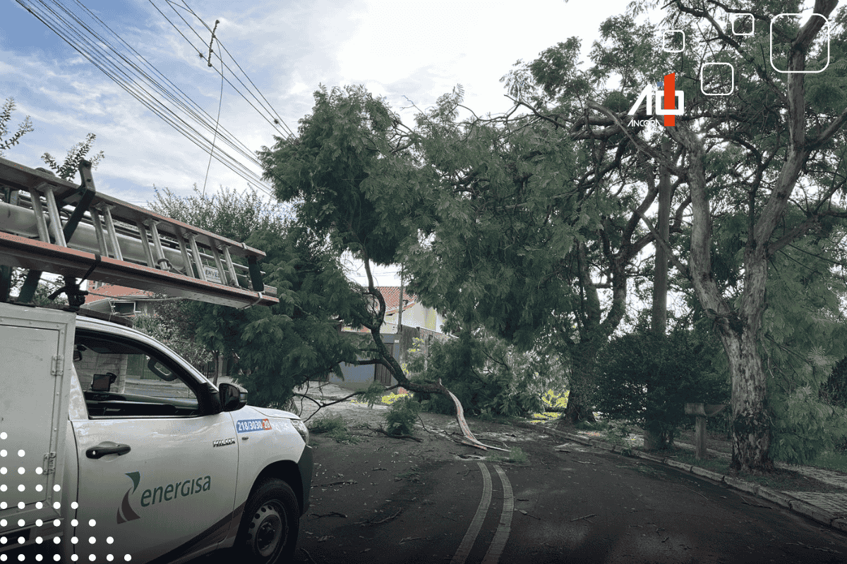 Descrição da imagem