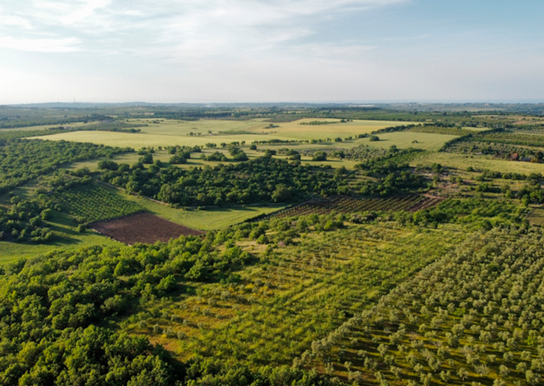 Financiamento do agro dispara: CPR e Fiagro registram crescimento recorde