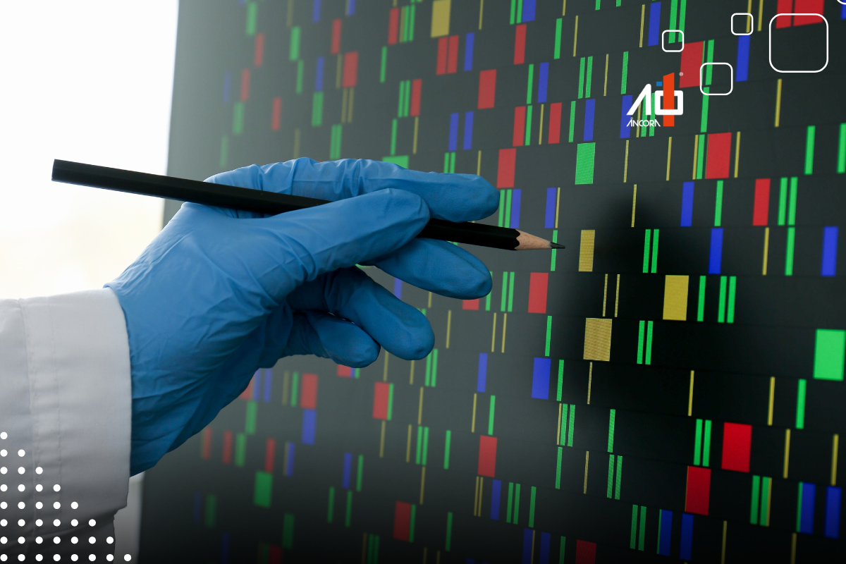 Descrição da imagem