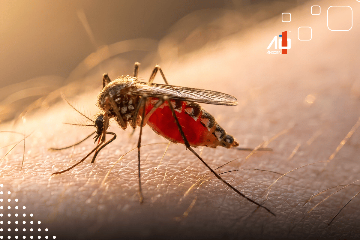 Descrição da imagem