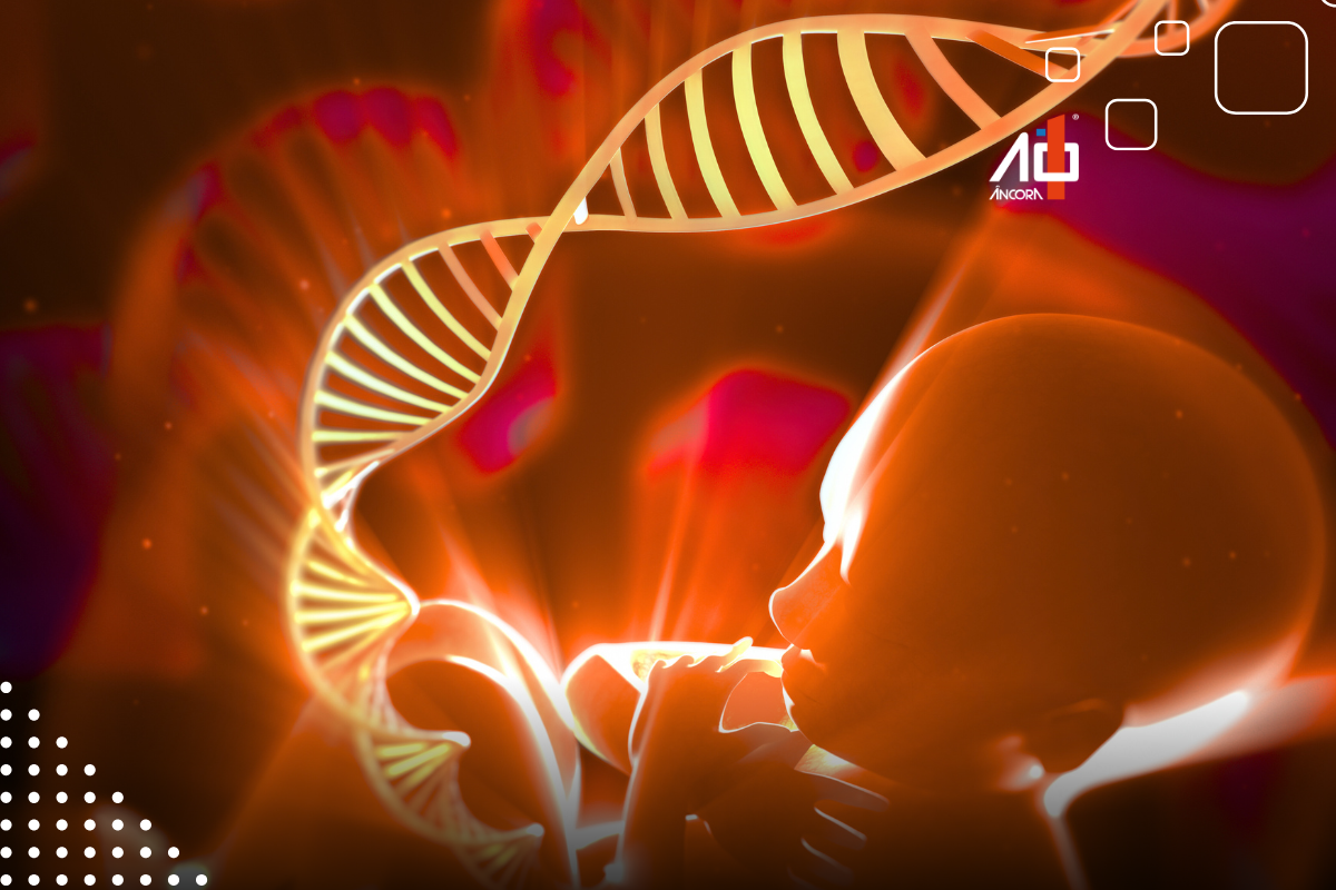 Descrição da imagem