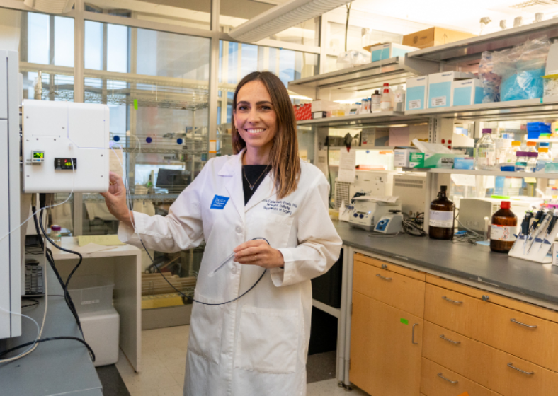 Descrição da imagem