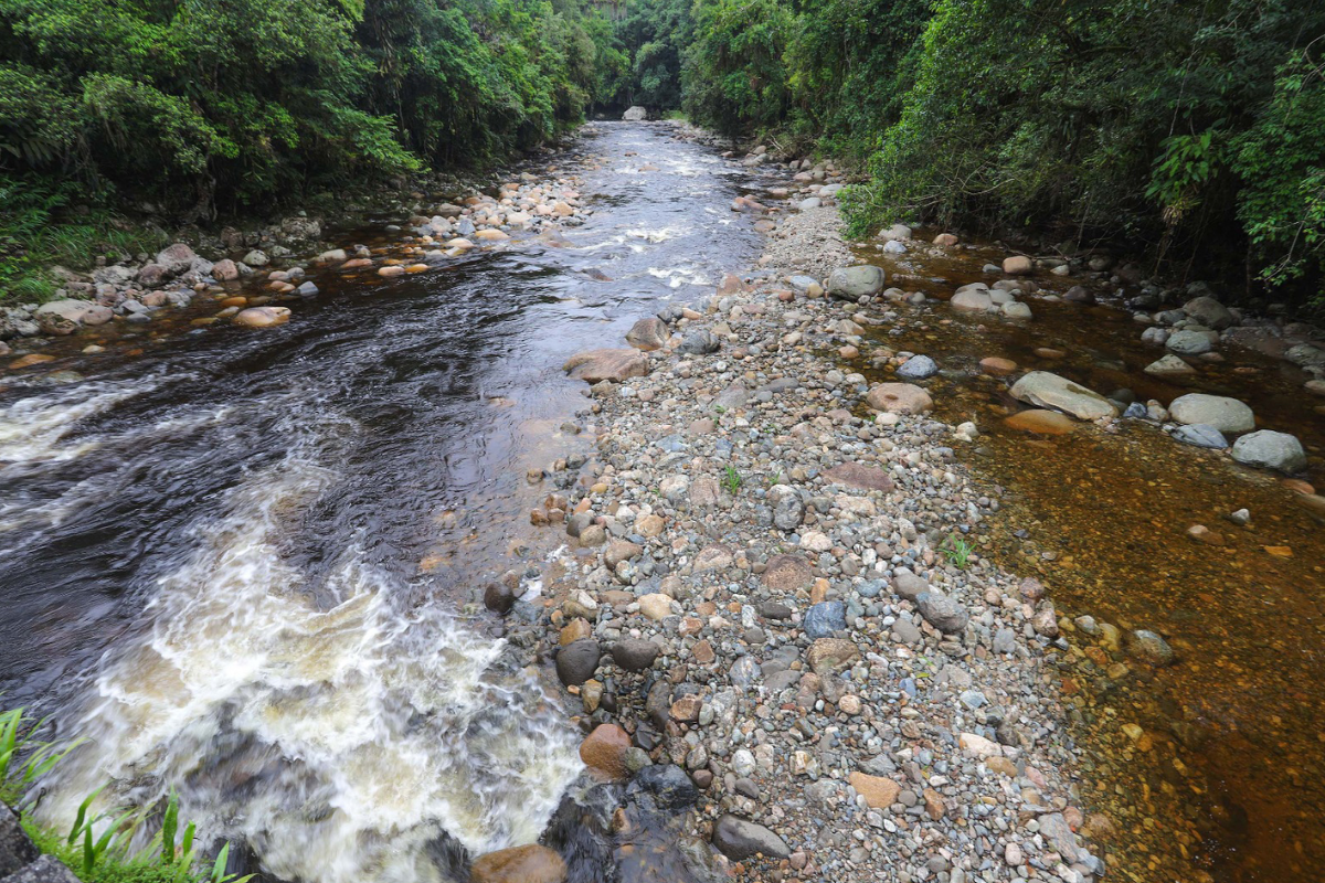 Descrição da imagem