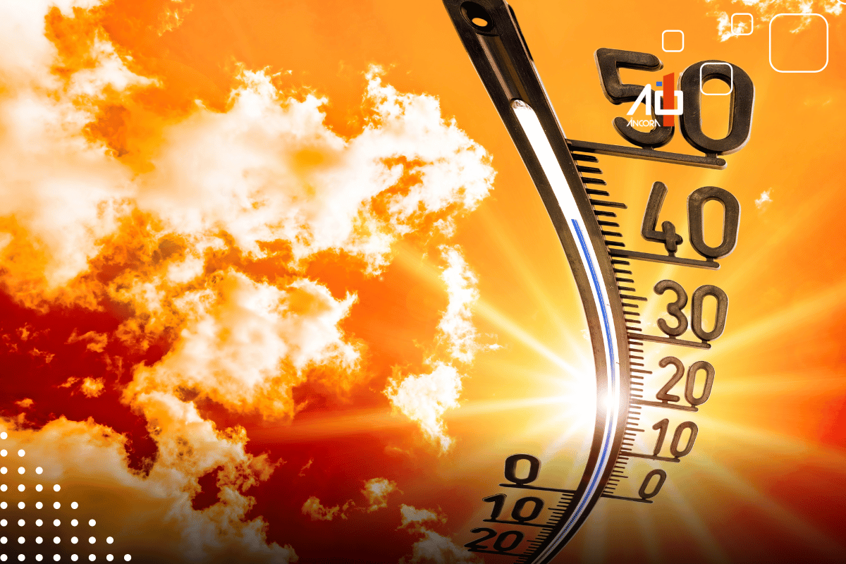 Descrição da imagem