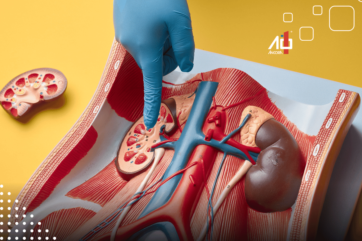 Descrição da imagem