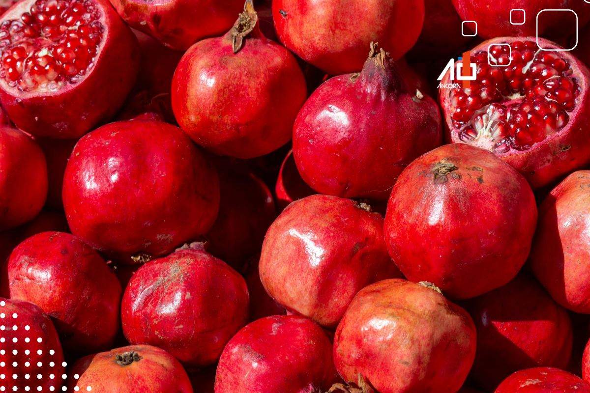 Descrição da imagem