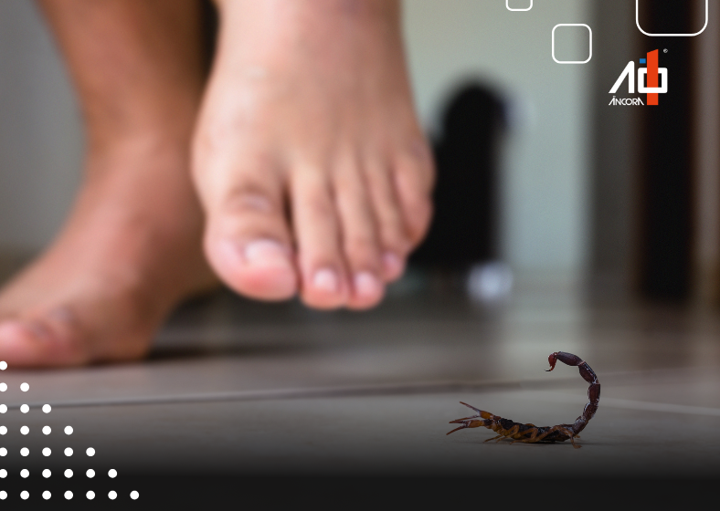 Descrição da imagem