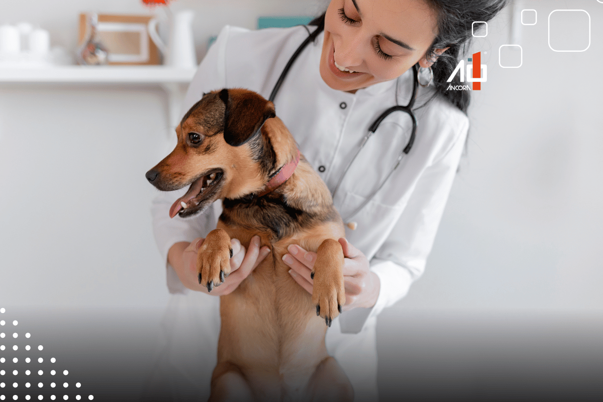 Descrição da imagem