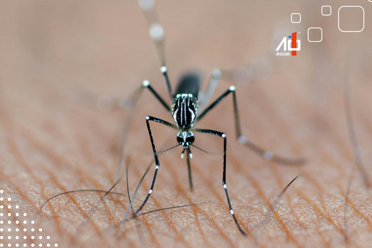 Descrição da imagem