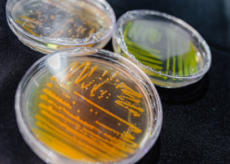 Descrição da imagem