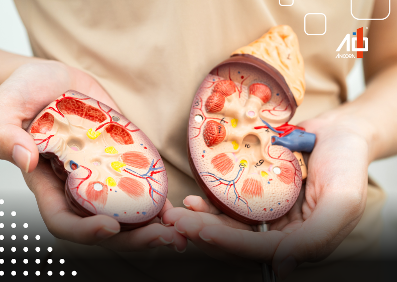 Descrição da imagem