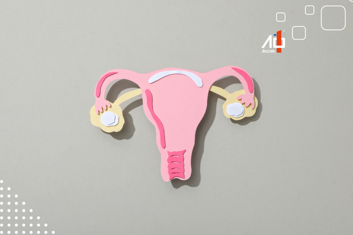 Descrição da imagem