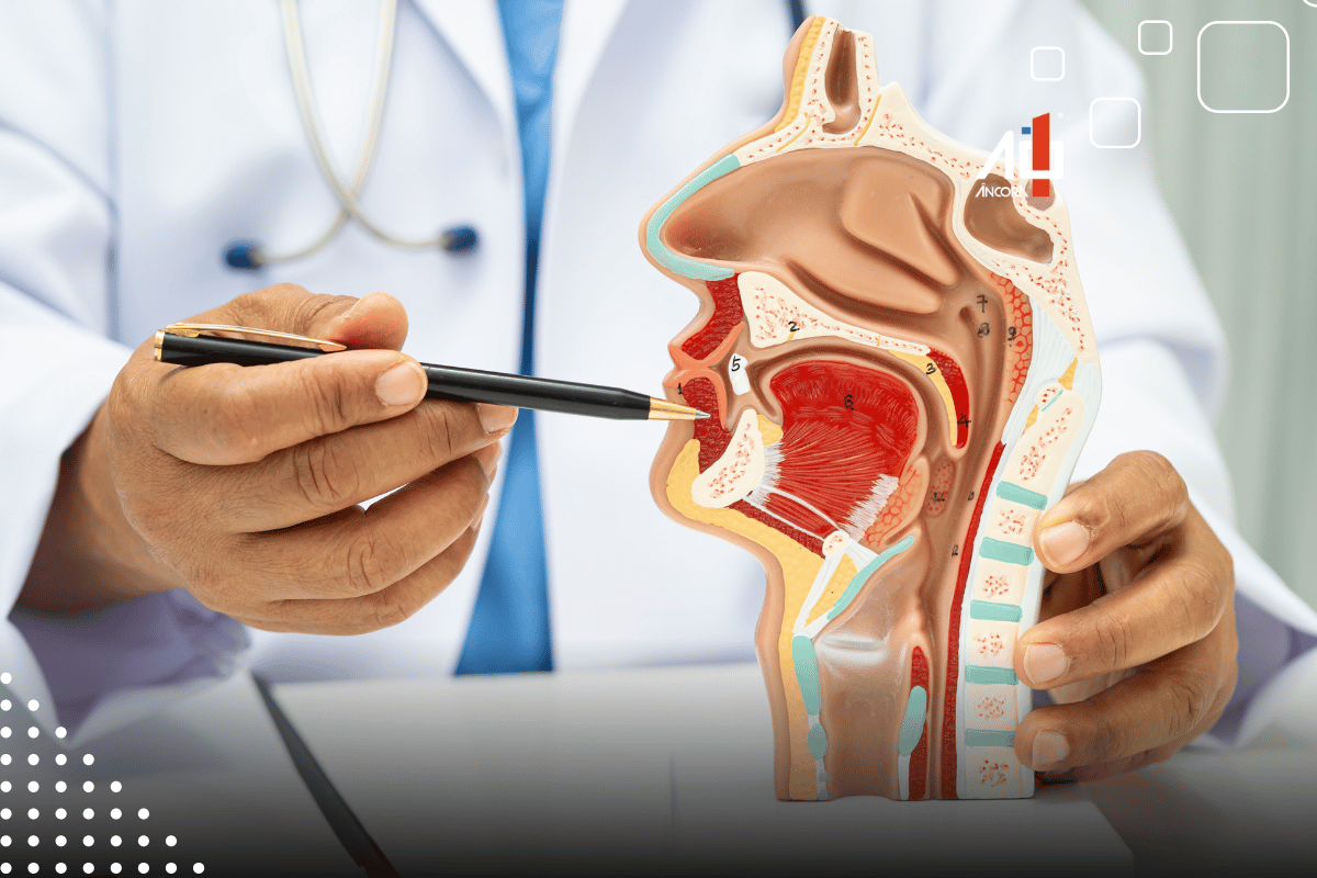 Descrição da imagem