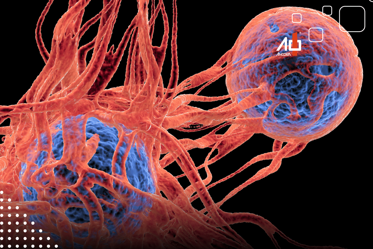 Descrição da imagem