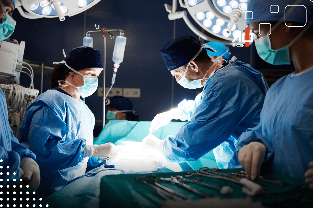 Descrição da imagem