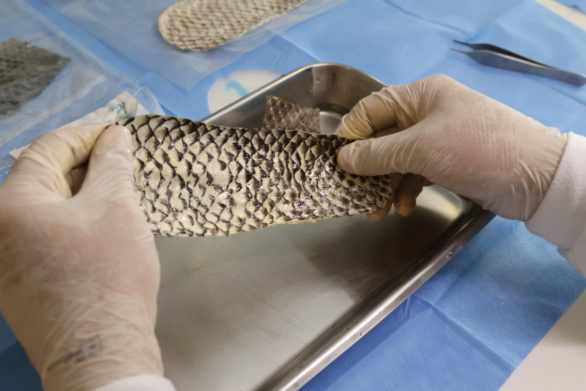 Descrição da imagem