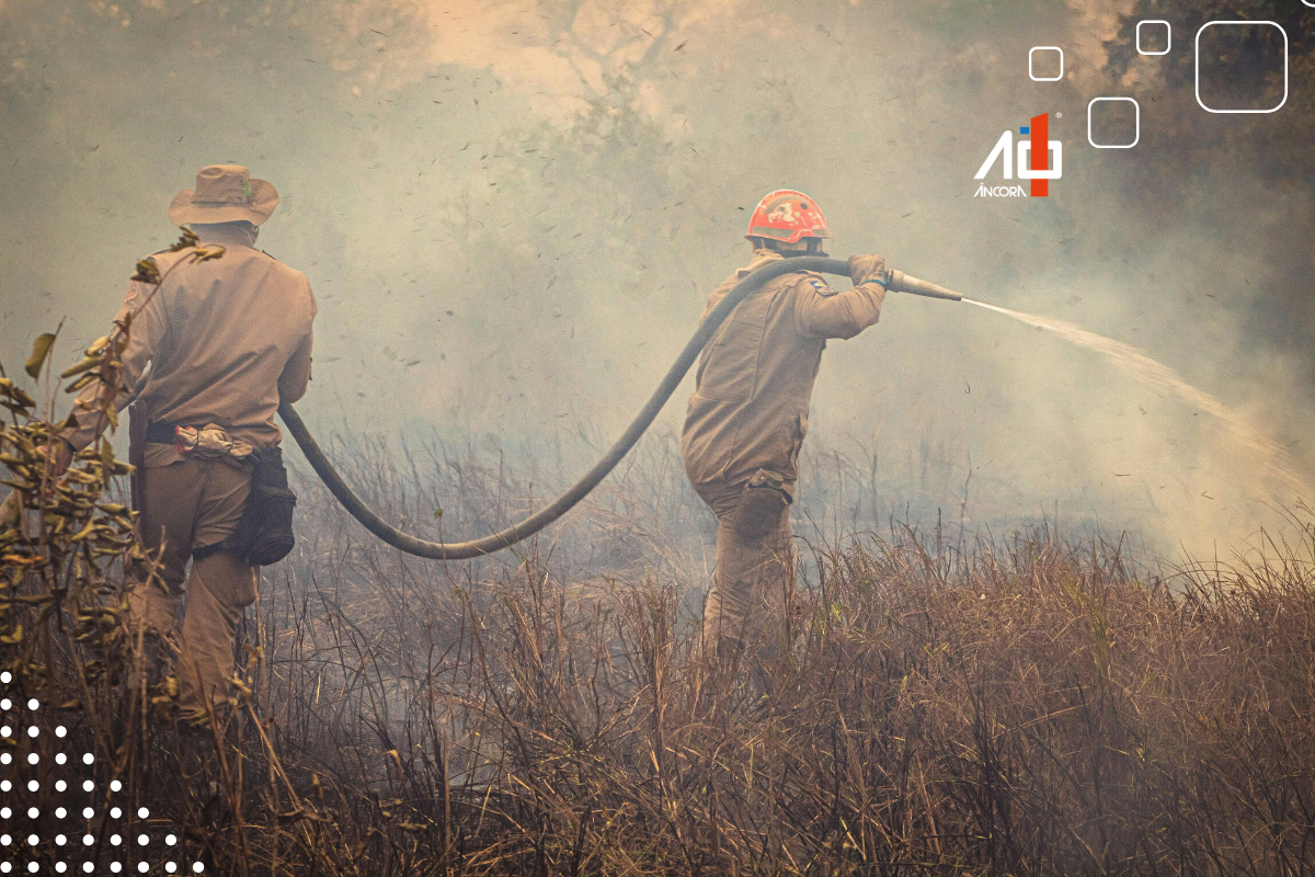 Descrição da imagem