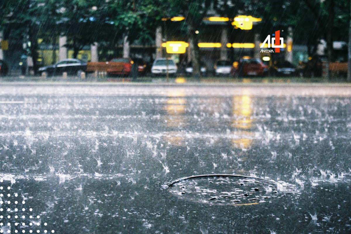 Descrição da imagem