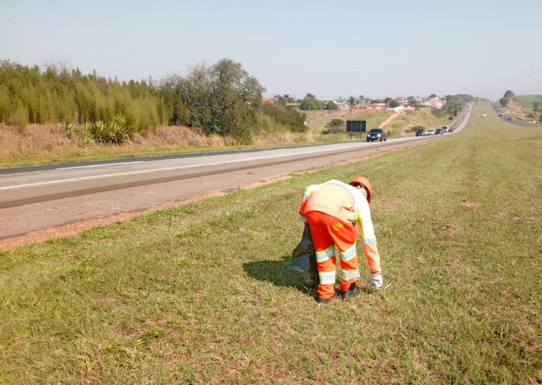 Papelão, garrafas PET, latas, embalagens, ferro e restos de obra são exemplos de materiais descartados por motoristas e moradores.