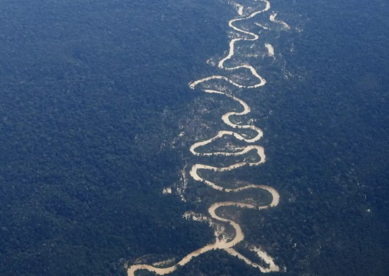 A Amazônia Legal corresponde a 59% do território brasileiro.