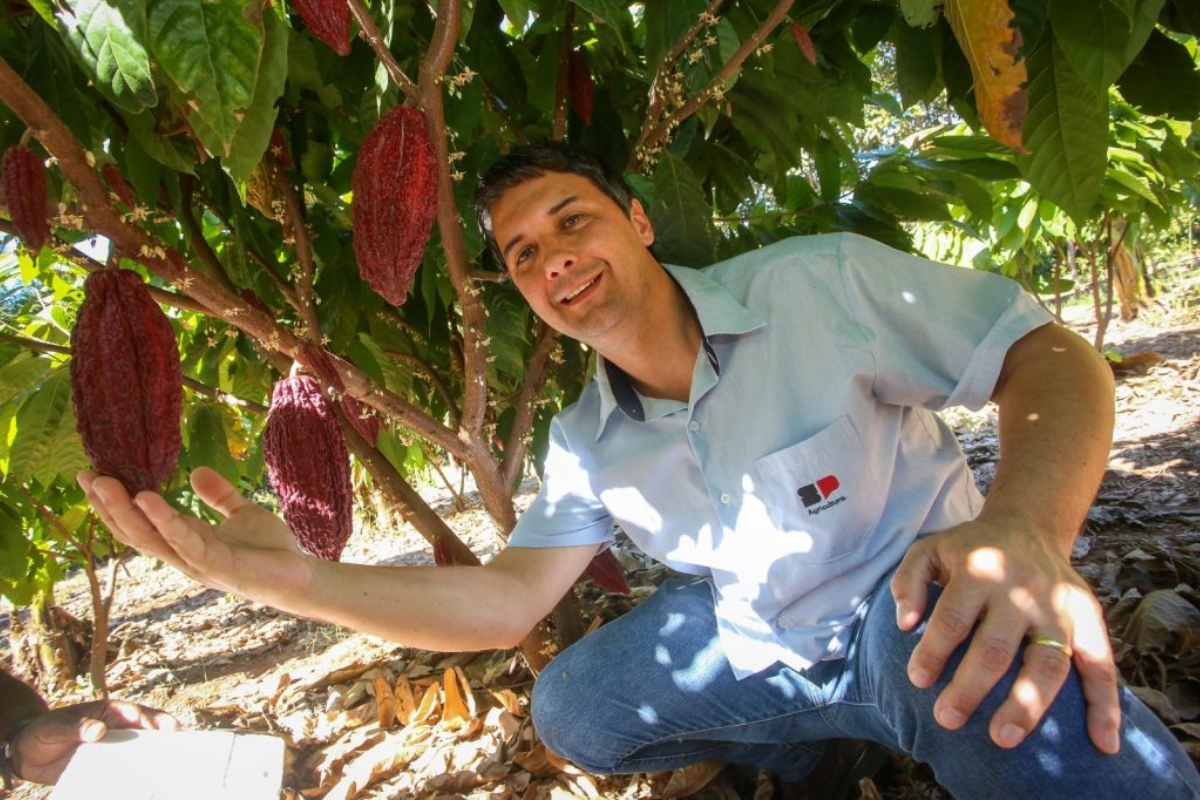 Descrição da imagem