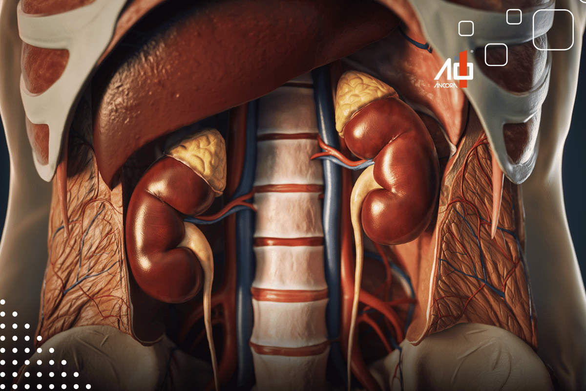 Descrição da imagem