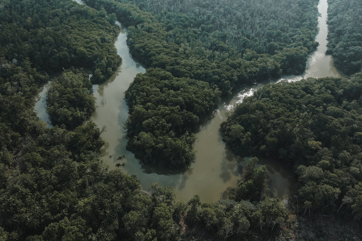 Descrição da imagem