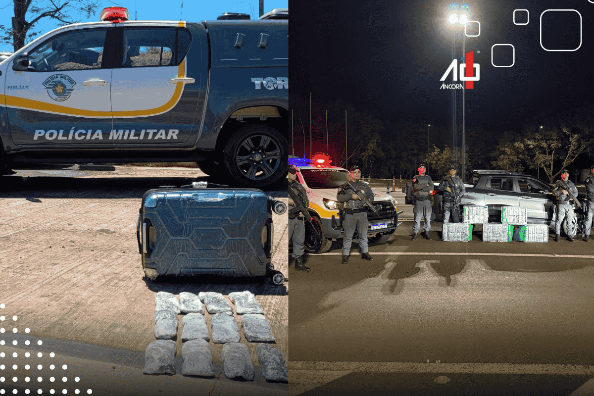 Descrição da imagem