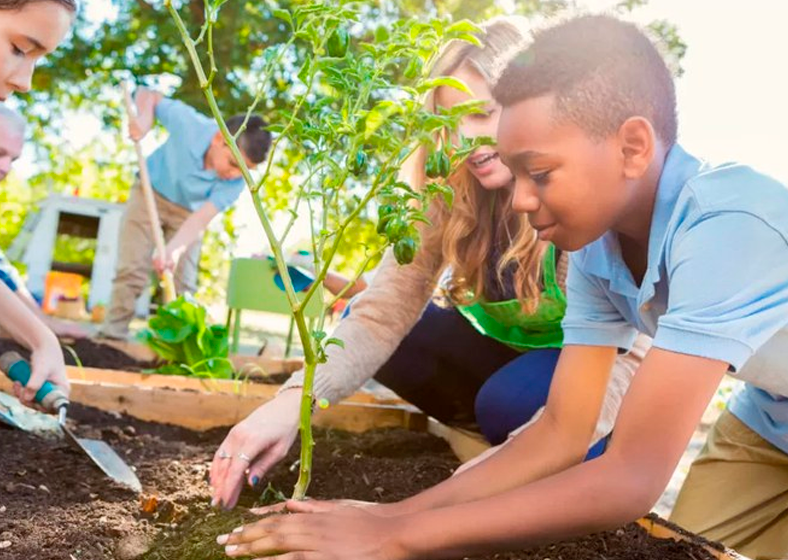 Projeto de Lei nº 6.230/2023 sancionado busca informar estudantes e professores sobre mudanças do clima, proteção da biodiversidade e desastres socioambientais