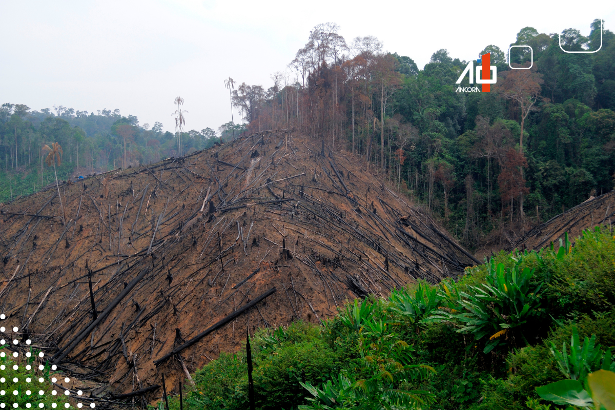 Descrição da imagem