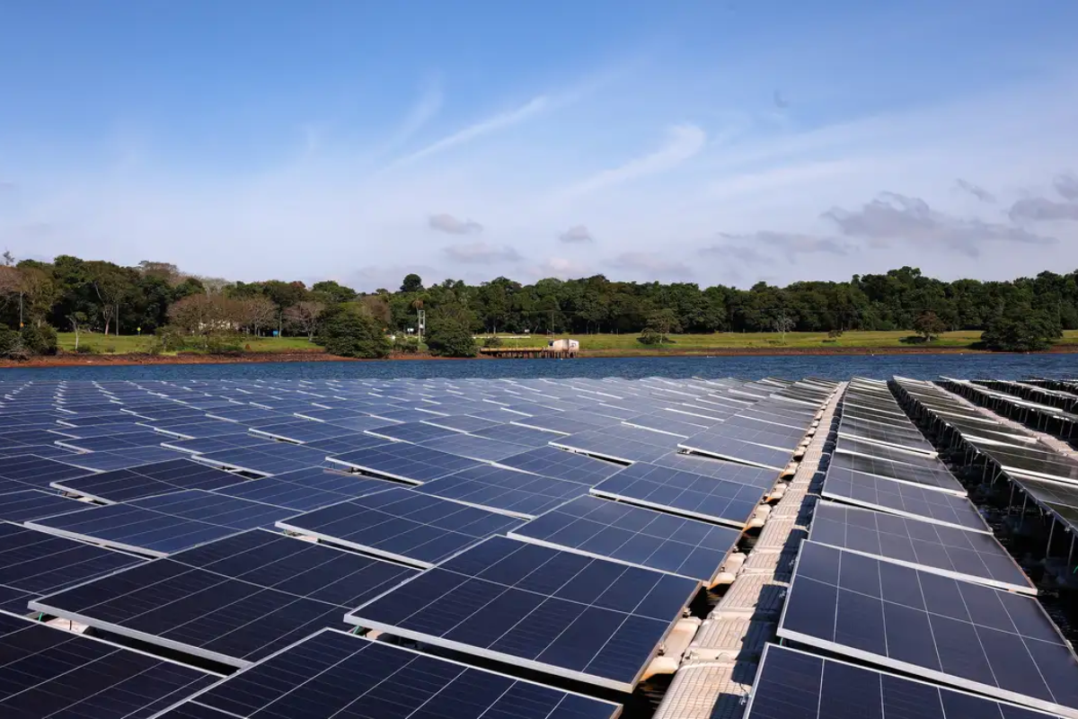 Descrição da imagem