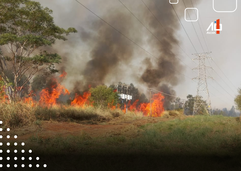 Mesmo quando as chamas não atingem diretamente a rede elétrica, o calor intenso gerado pelas queimadas pode danificar cabos, postes e outros equipamentos