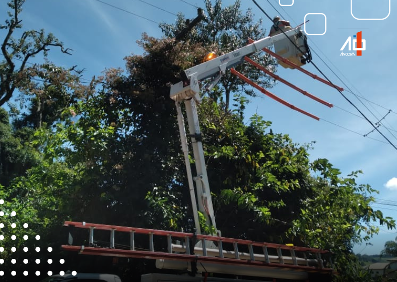 A empresa ressalta que essas manutenções são cruciais para garantir o conforto e a qualidade na distribuição de energia para todos os usuários