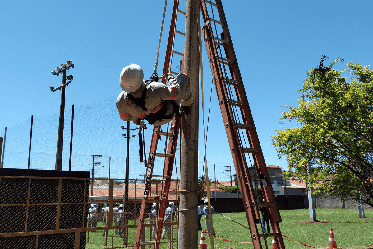 Descrição da imagem