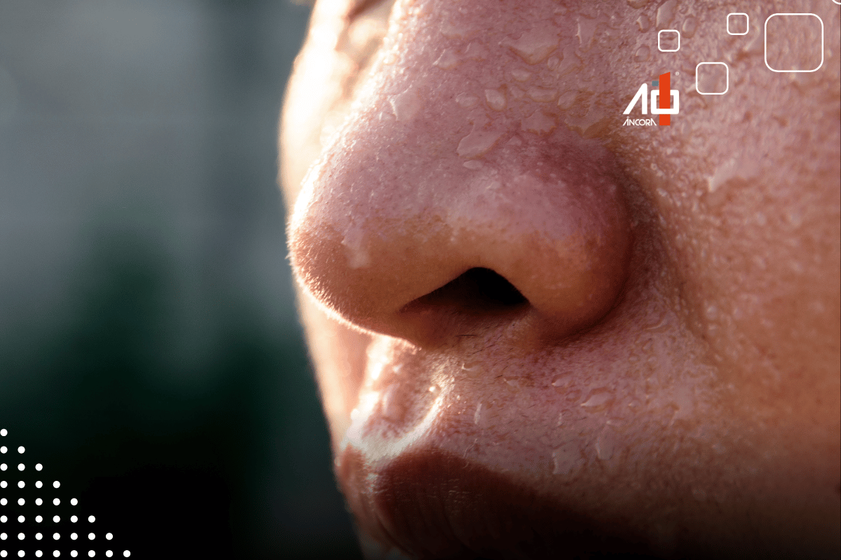 Descrição da imagem