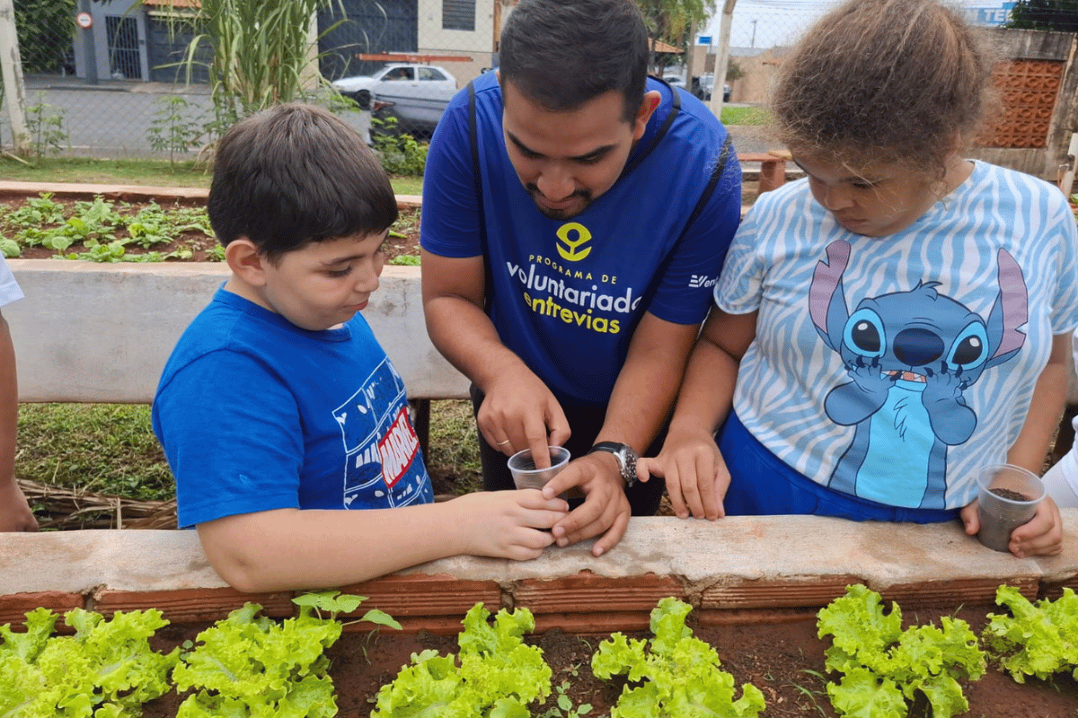 Descrição da imagem