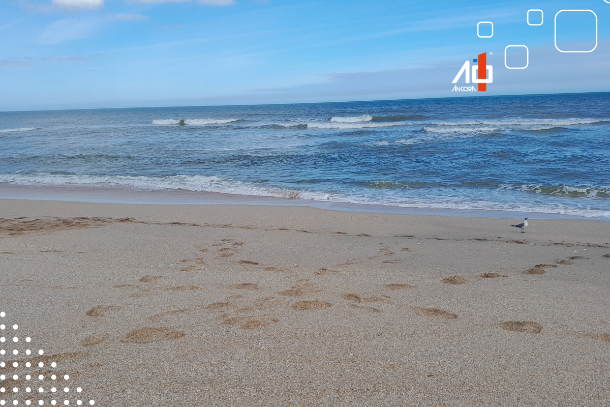 Descrição da imagem