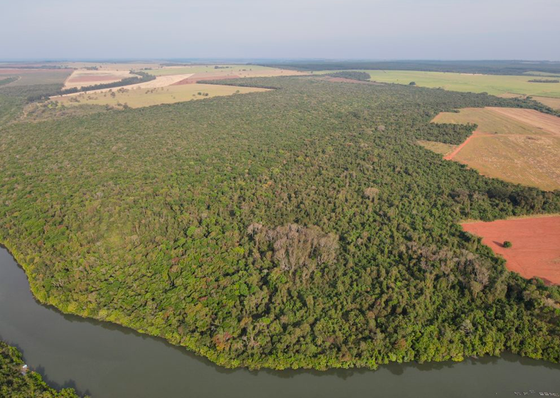 Mais de 300 hectares de área preservada: Assis ganha expansão da Estação Ecológica e Floresta Estadual