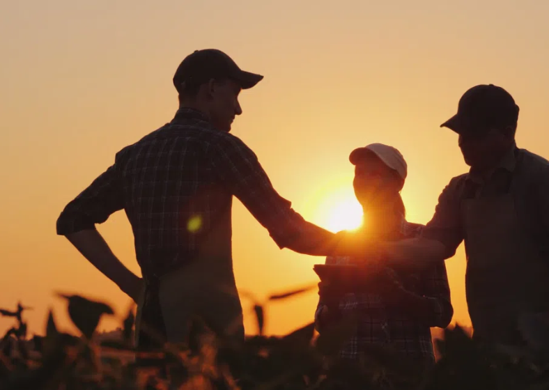 Descrição da imagem