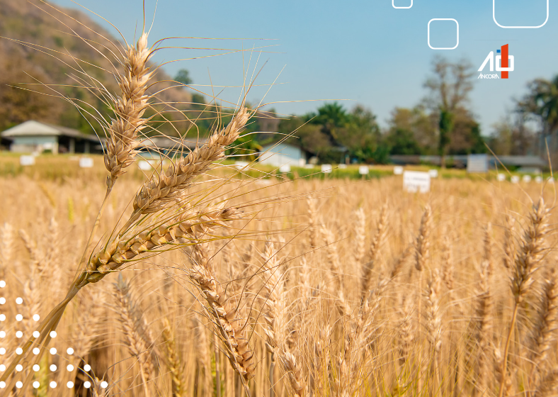 A análise aponta que, para atender à demanda prevista pelo Ministério da Agricultura, serão necessários R$ 60 bilhões em investimentos nos próximos 10 anos