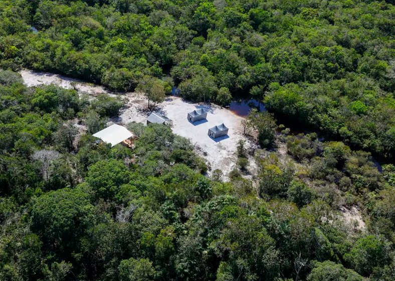 Equipe de pesquisadores deu início a um inventário da Floresta Amazônica